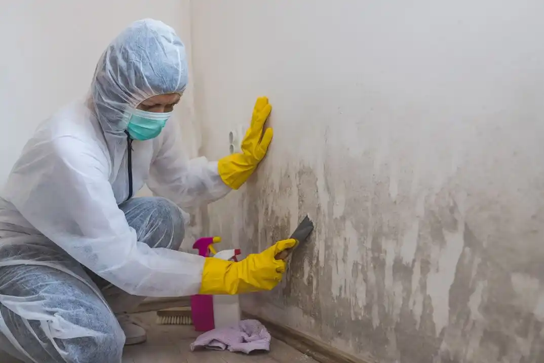 water damage restoration service Kirkland